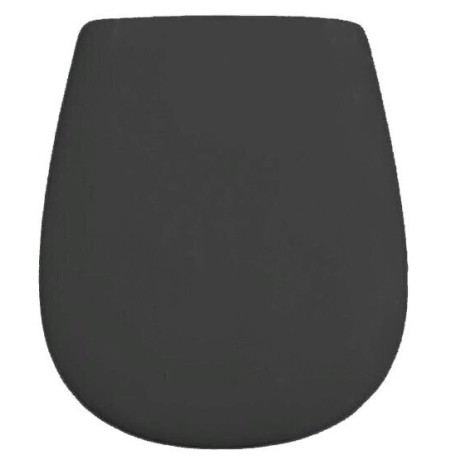 Сиденье с крышкой Artceram Azuley с плавным опусканием цвет черный матовый AZA001 17 71